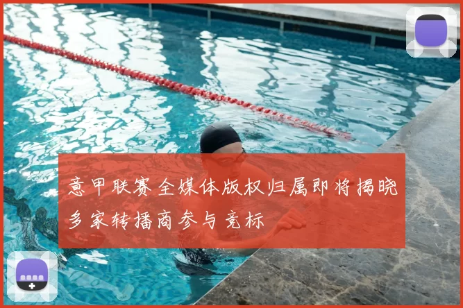 意甲联赛全媒体版权归属即将揭晓多家转播商参与竞标