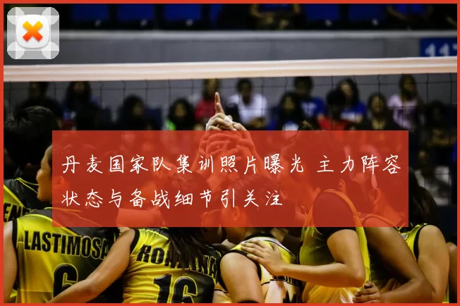 丹麦国家队集训照片曝光 主力阵容状态与备战细节引关注