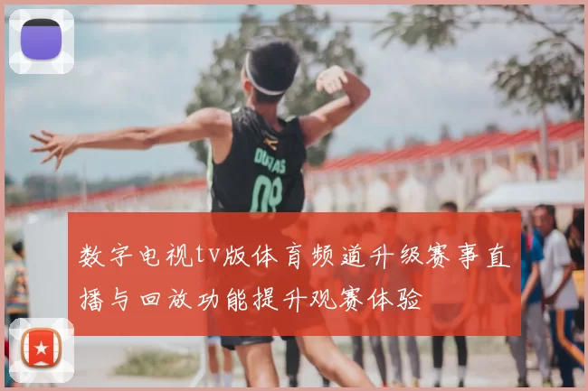 数字电视tv版体育频道升级赛事直播与回放功能提升观赛体验