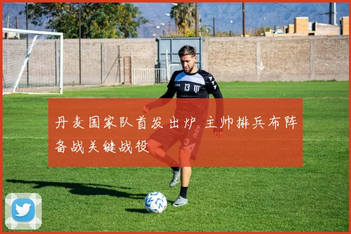 丹麦国家队首发出炉 主帅排兵布阵备战关键战役