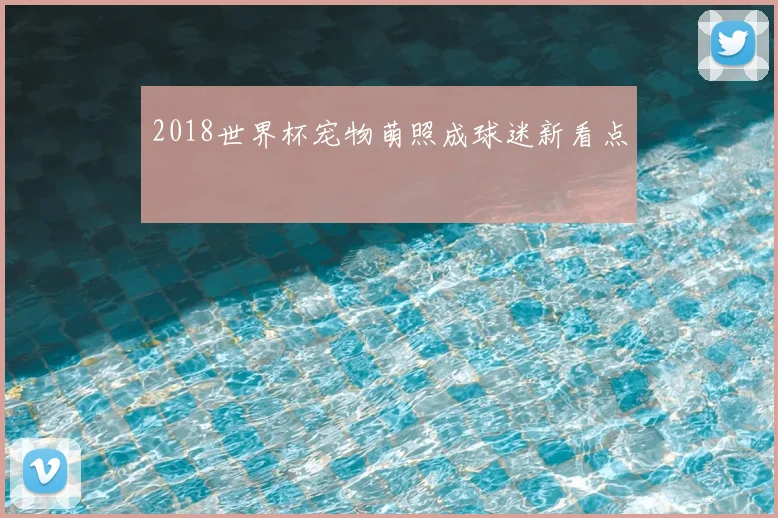 2018世界杯宠物萌照成球迷新看点