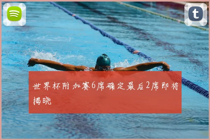 世界杯附加赛6席确定最后2席即将揭晓