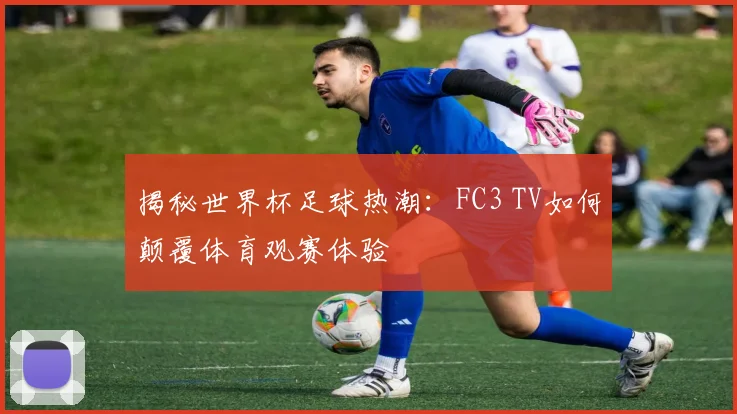 揭秘世界杯足球热潮：FC3 TV如何颠覆体育观赛体验