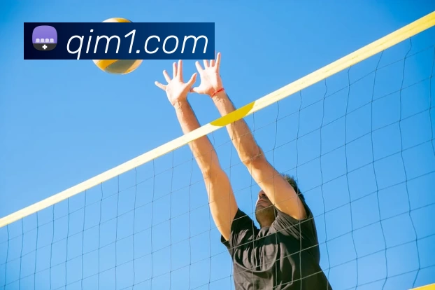 辽宁男篮与四川球迷赛场冲突致比赛中断 后续安保措施成关注点